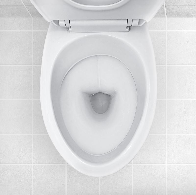 New Toilet Installation